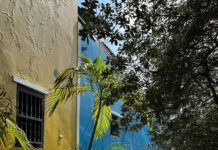 저층 주거지 정비 ‘뉴:빌리지 사업’, 용적률 최대 1.2배까지 완화 a blue and yellow building with a tree in front of it