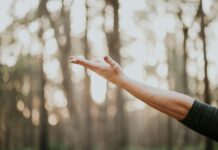 웰니스 문화의 진화, ‘나만의 건강 루틴’이 트렌드로 tilt shift lens photography of person lifting hand