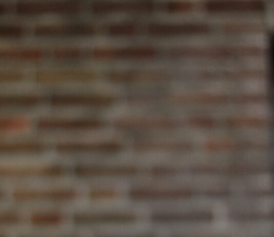 ‘마음의 근육’도 키운다… 일상 속에서 실천하는 정신건강 루틴 인기 green plant near brown brick wall